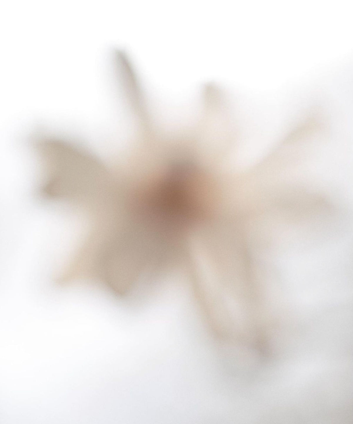 EXTRAIT BLANC