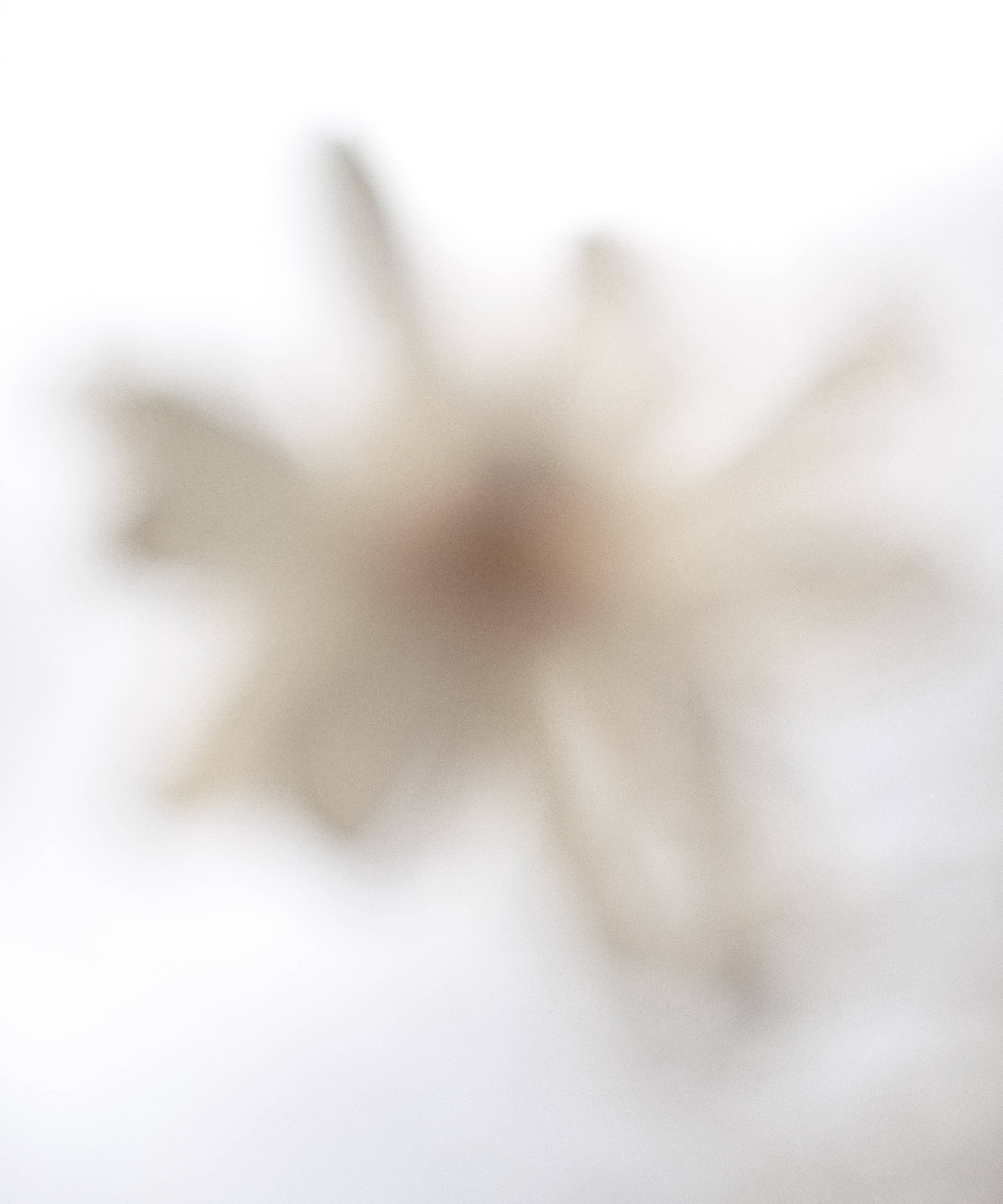 EXTRAIT BLANC